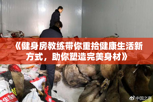《健身房教练带你重拾健康生活新方式，助你塑造完美身材》