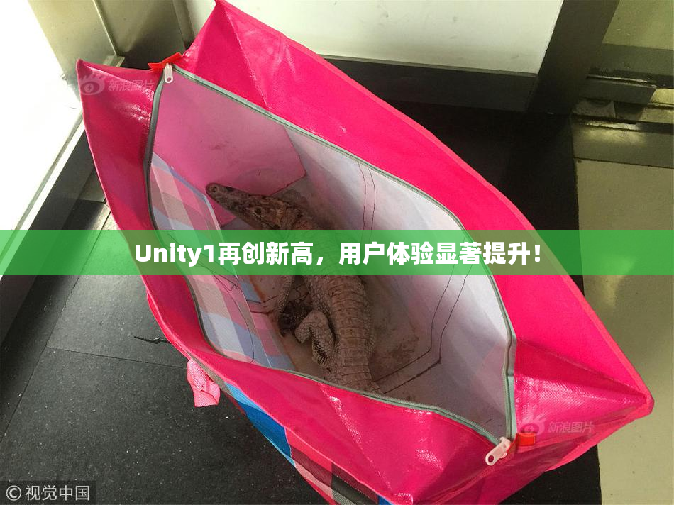 Unity1再创新高，用户体验显著提升！
