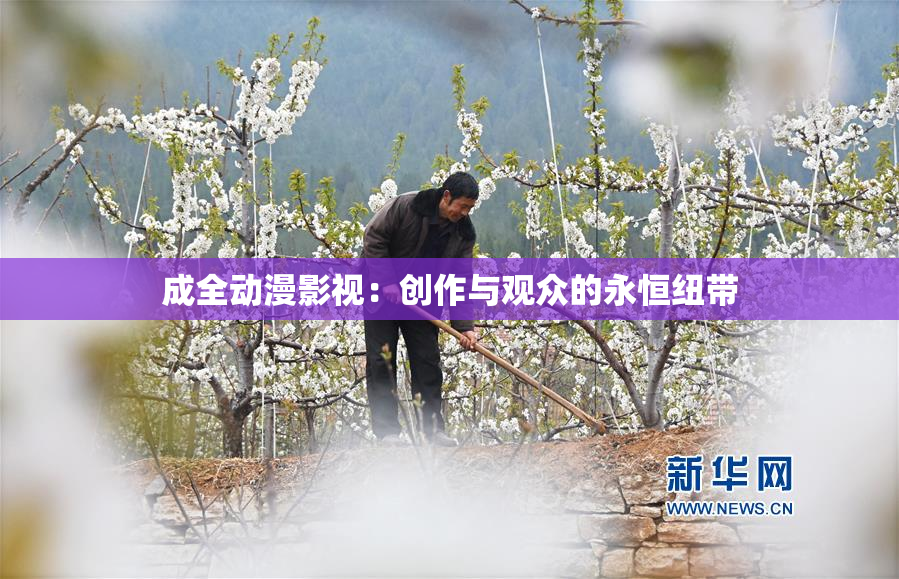 成全动漫影视：创作与观众的永恒纽带