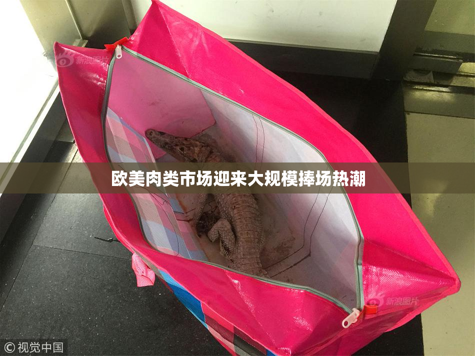 欧美肉类市场迎来大规模捧场热潮