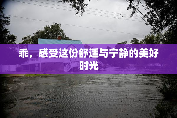 乖，感受这份舒适与宁静的美好时光