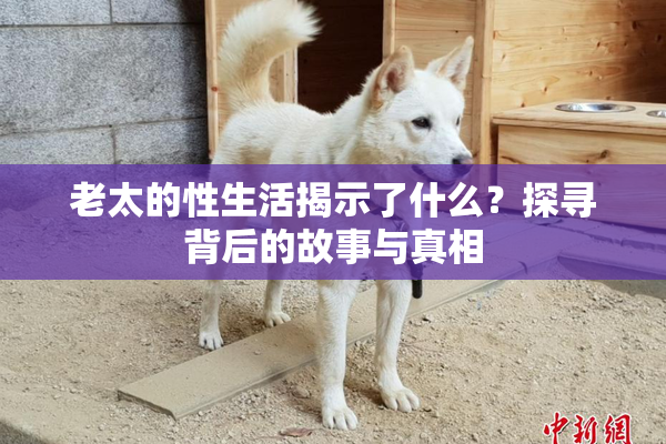 老太的性生活揭示了什么？探寻背后的故事与真相