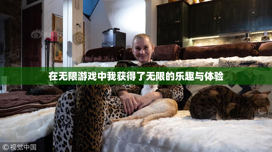 在无限游戏中我获得了无限的乐趣与体验