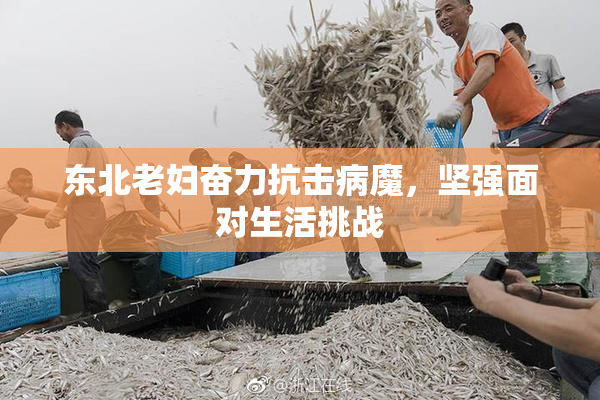 东北老妇奋力抗击病魔，坚强面对生活挑战