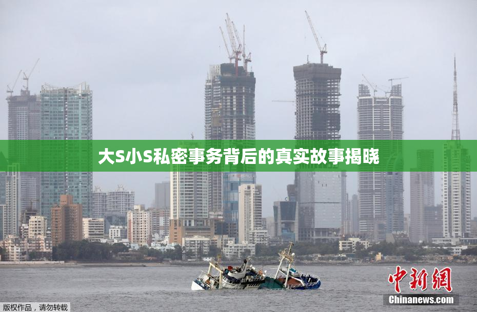大S小S私密事务背后的真实故事揭晓