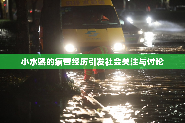 小水熙的痛苦经历引发社会关注与讨论