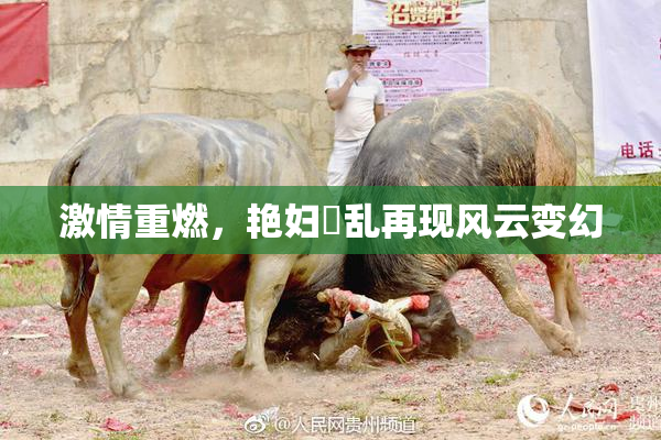 激情重燃，艳妇婬乱再现风云变幻