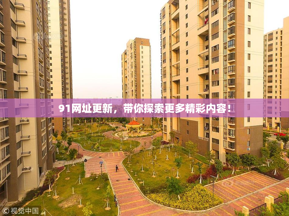 91网址更新，带你探索更多精彩内容！