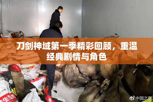 刀剑神域第一季精彩回顾，重温经典剧情与角色
