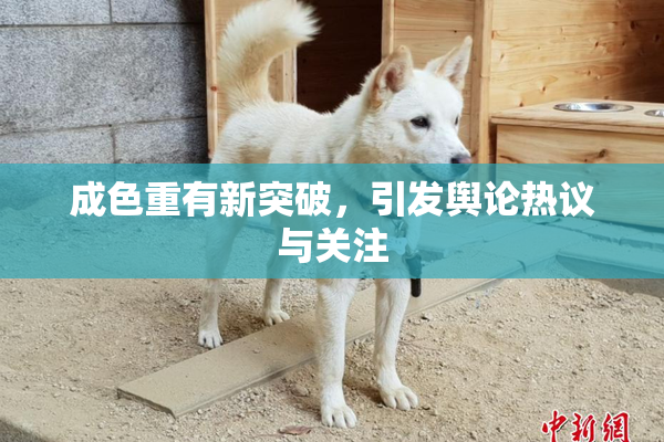 成色重有新突破，引发舆论热议与关注