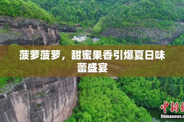 菠萝菠萝，甜蜜果香引爆夏日味蕾盛宴