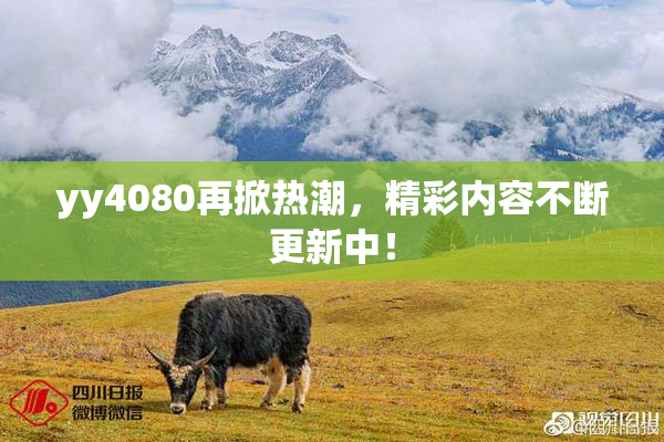 yy4080再掀热潮，精彩内容不断更新中！