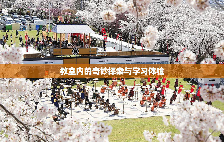 教室内的奇妙探索与学习体验