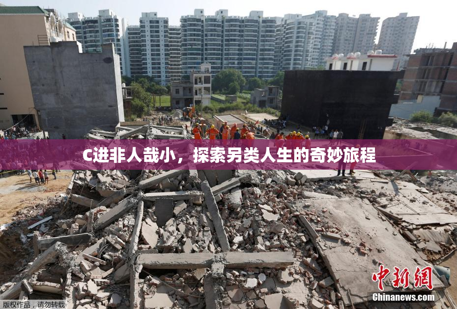C进非人哉小，探索另类人生的奇妙旅程