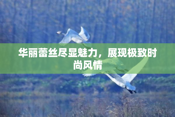 华丽蕾丝尽显魅力，展现极致时尚风情