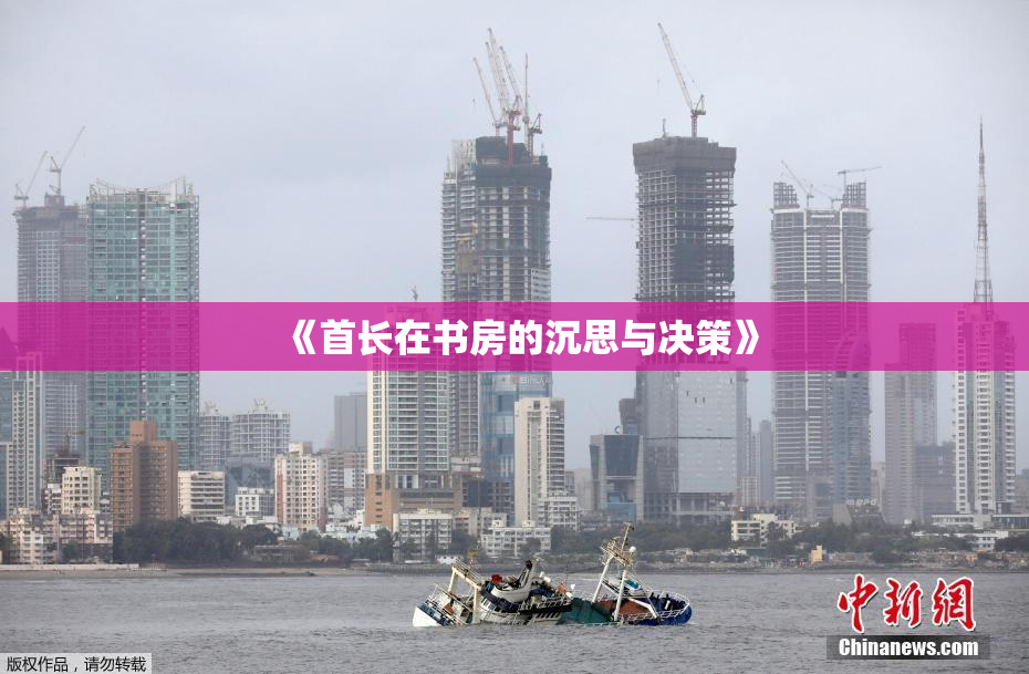 《首长在书房的沉思与决策》