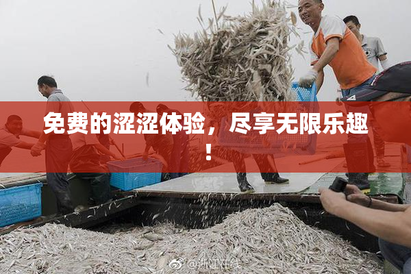免费的涩涩体验，尽享无限乐趣！