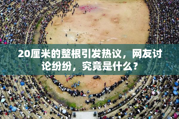 20厘米的整根引发热议，网友讨论纷纷，究竟是什么？