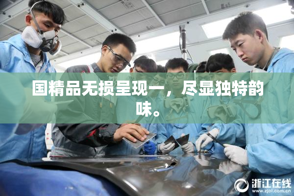国精品无损呈现一，尽显独特韵味。