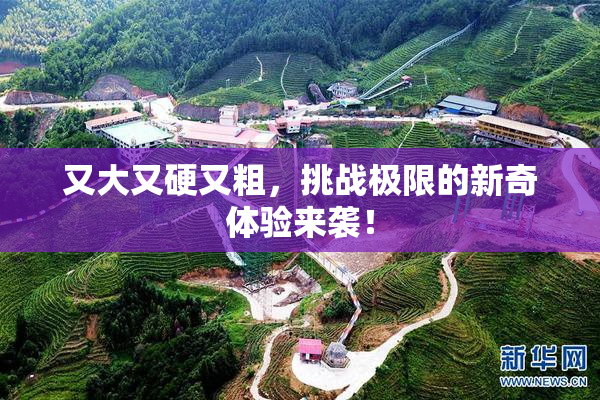 又大又硬又粗，挑战极限的新奇体验来袭！