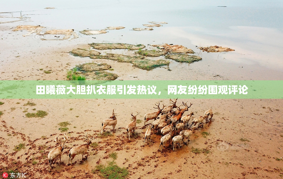 田曦薇大胆扒衣服引发热议，网友纷纷围观评论