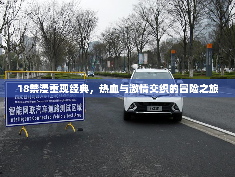 18禁漫重现经典，热血与激情交织的冒险之旅
