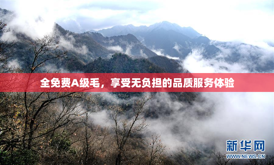 全免费A级毛，享受无负担的品质服务体验