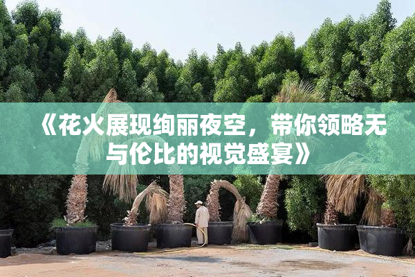 《花火展现绚丽夜空，带你领略无与伦比的视觉盛宴》