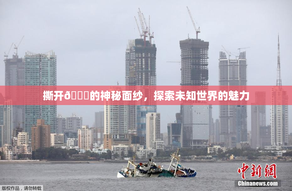 撕开👙的神秘面纱，探索未知世界的魅力