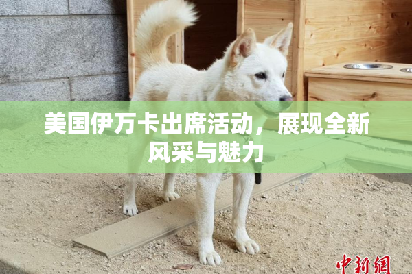 美国伊万卡出席活动，展现全新风采与魅力