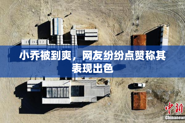 小乔被到爽，网友纷纷点赞称其表现出色