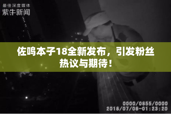 佐鸣本子18全新发布，引发粉丝热议与期待！