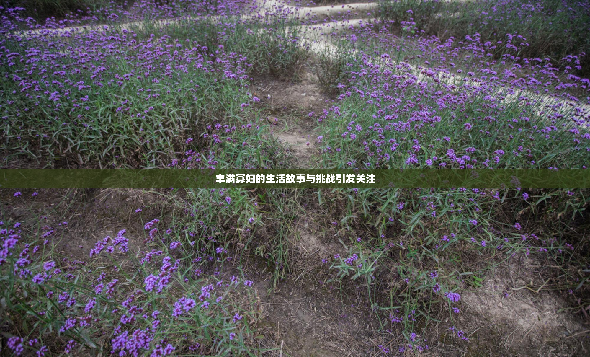 丰满寡妇的生活故事与挑战引发关注