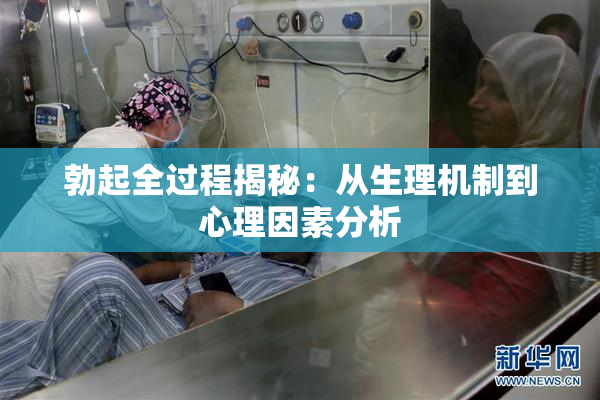 勃起全过程揭秘：从生理机制到心理因素分析