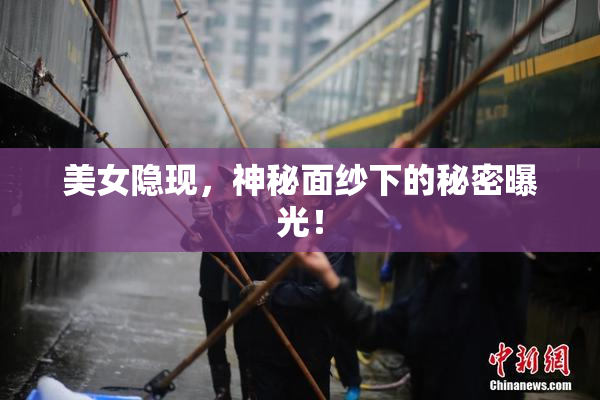 美女隐现，神秘面纱下的秘密曝光！