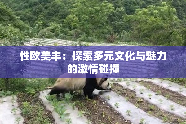 性欧美丰：探索多元文化与魅力的激情碰撞