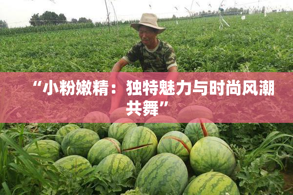 “小粉嫩精：独特魅力与时尚风潮共舞”