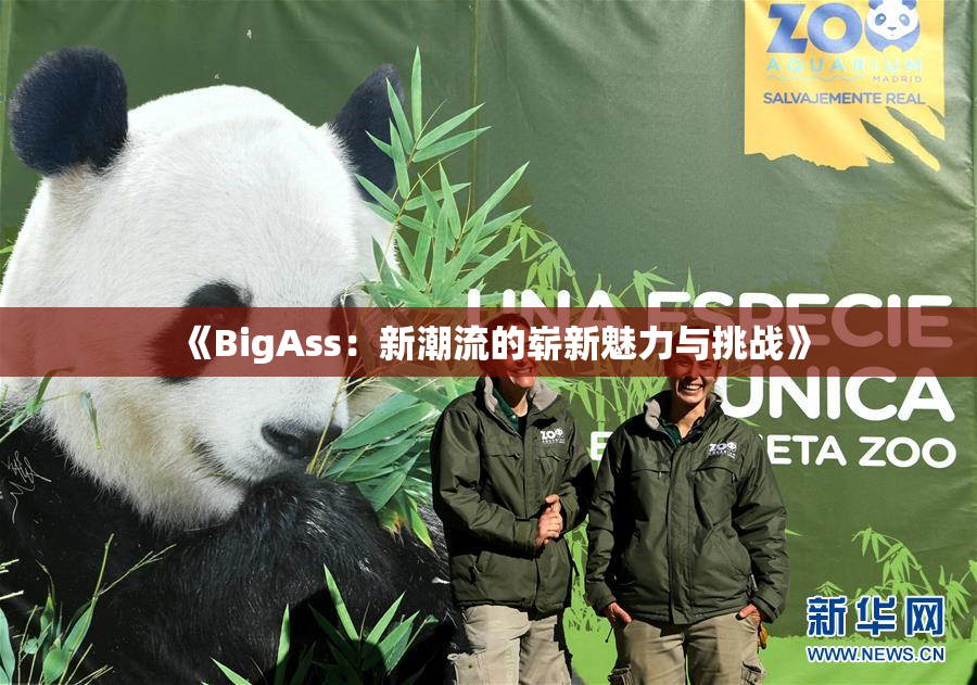 《BigAss：新潮流的崭新魅力与挑战》