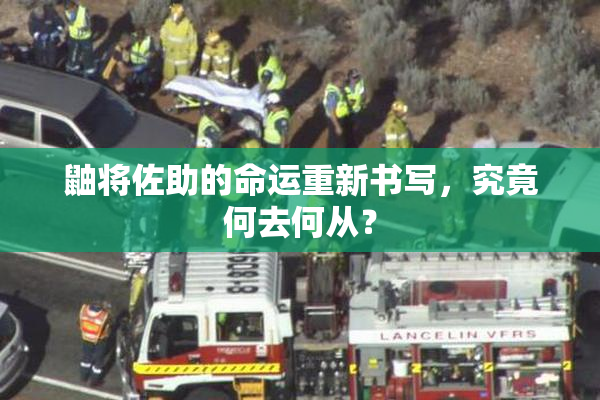 鼬将佐助的命运重新书写，究竟何去何从？