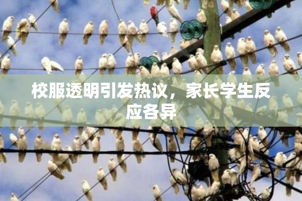 校服透明引发热议，家长学生反应各异