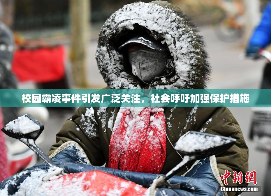 校园霸凌事件引发广泛关注，社会呼吁加强保护措施