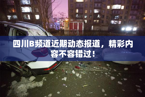 四川B频道近期动态报道，精彩内容不容错过！