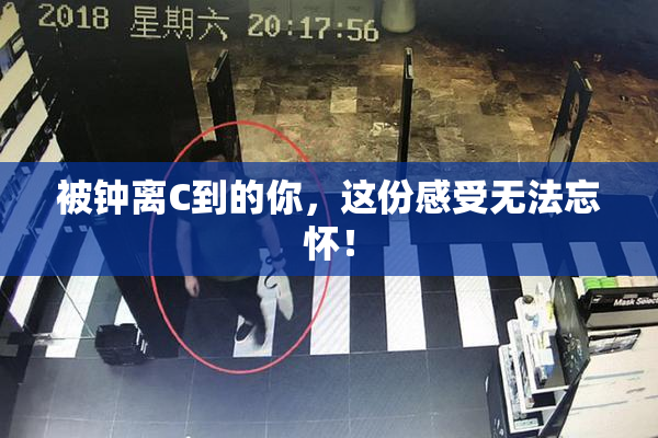 被钟离C到的你，这份感受无法忘怀！