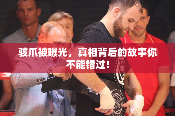 骇爪被曝光，真相背后的故事你不能错过！