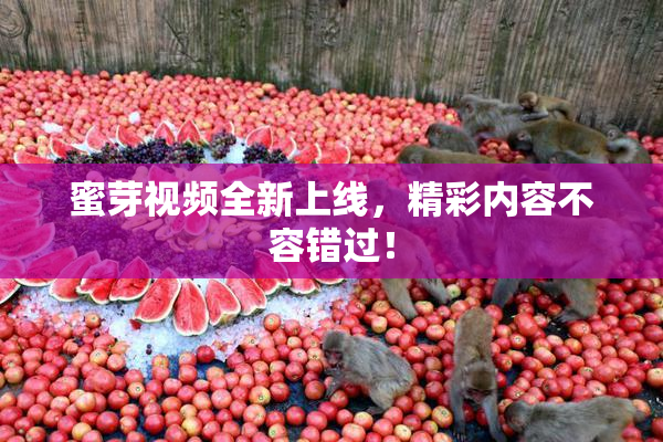 蜜芽视频全新上线，精彩内容不容错过！