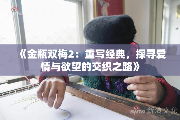 《金瓶双梅2：重写经典，探寻爱情与欲望的交织之路》