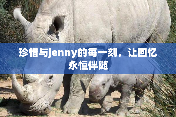 珍惜与jenny的每一刻，让回忆永恒伴随