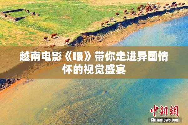 越南电影《喂》带你走进异国情怀的视觉盛宴