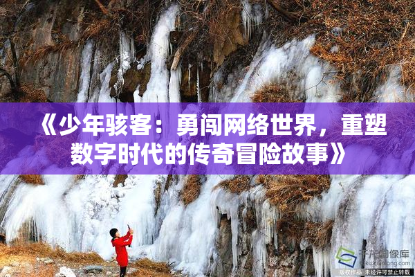 《少年骇客：勇闯网络世界，重塑数字时代的传奇冒险故事》