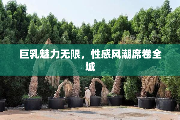 巨乳魅力无限，性感风潮席卷全城